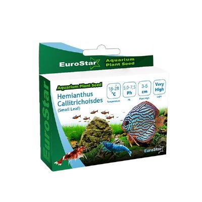 EuroStar%20Bitki%20Tohumu%20Hemianthus%20Callitrichoides