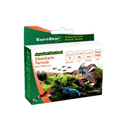 Eurostar%20Bitki%20Tohumu%20Eleocharis%20Parvula