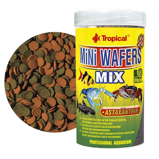 Tropical%20Mini%20Wafers%20Mix%20100%20Gram