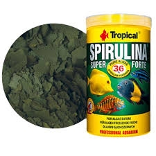 Tropical%20Süper%20Spirulina%20Forte%20Flakes%2011%20Lt%20/%202000Gr