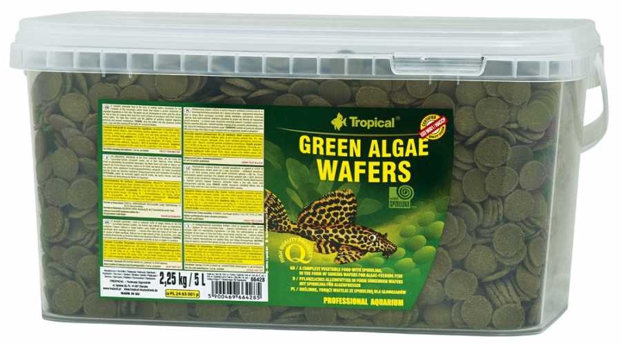 Tropical%20Green%20Algae%20Wafers%20100%20Gram